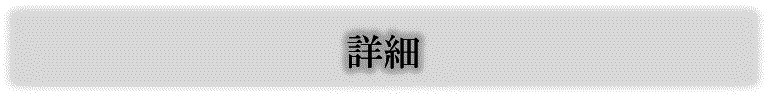詳細.png
